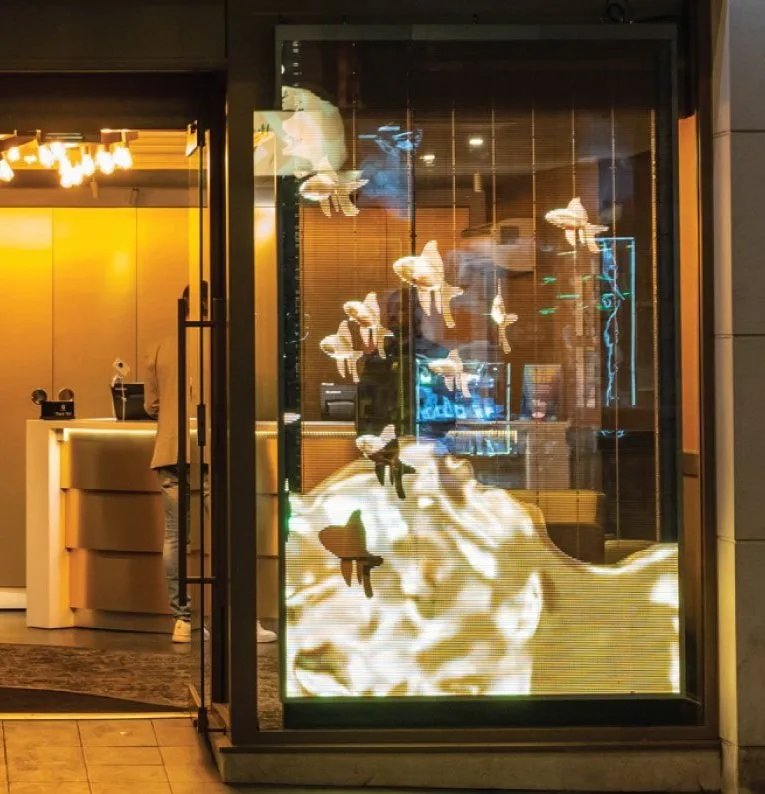 Transparent Window Displays